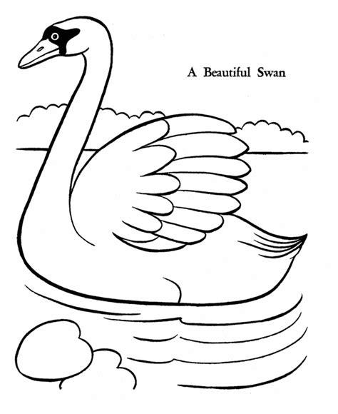 Swan Coloring Pages - Best Coloring Pages For Kids