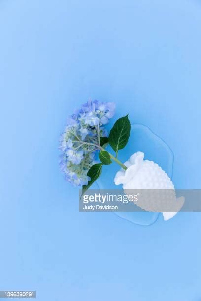 Blue Glass Vase Photos and Premium High Res Pictures - Getty Images