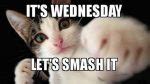 80 Really Funny Wednesday Memes to Make Brighten Your Hump day - Dreams ...