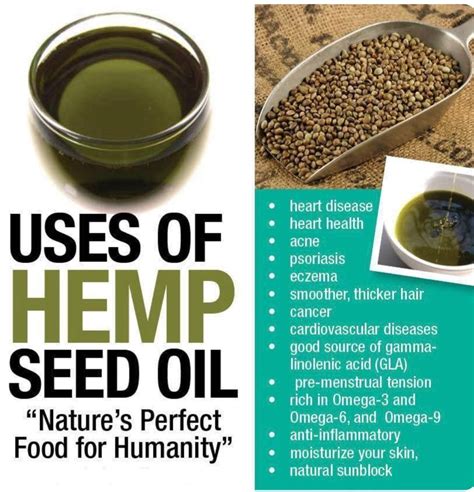 100% Pure Organic Cold-Pressed Hemp Seed Oil – Circle A Ranch