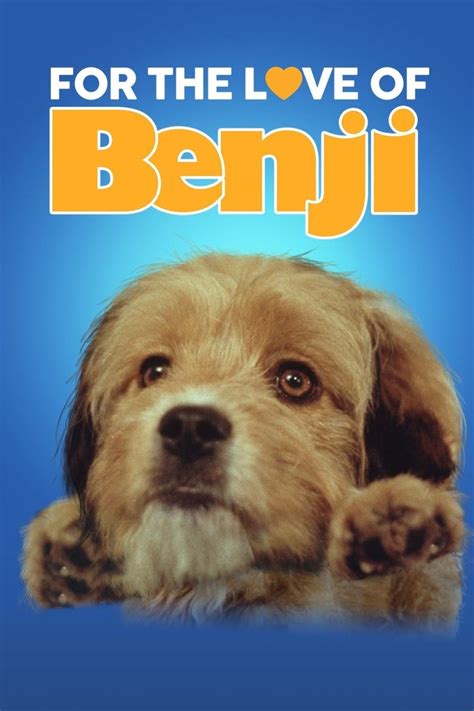 Benji the Hunted (1987): Where to Watch and Stream Online | Reelgood