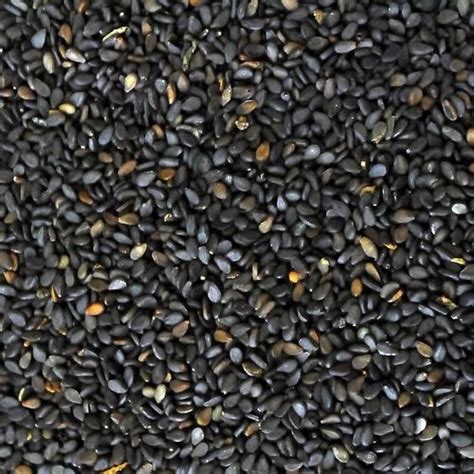 Black Sesame Seed at Rs 90/kilogram | काले तिल के बीज in Chennai | ID ...