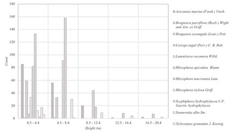 Distribution of mangrove species according to height (m) on Manamoc ...