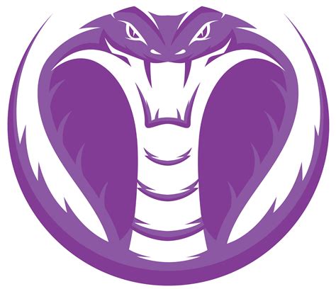 Purple Cobras - Liquipedia VALORANT Wiki