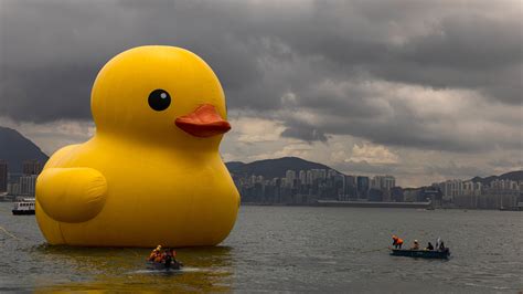 Giant rubber ducks make return splash to Hong Kong after 10 years | ITV ...