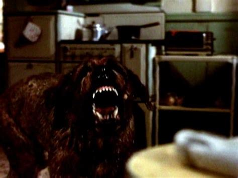 Dogs With Rabies In Movies