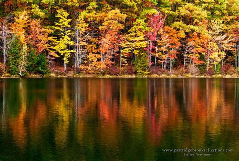 Goose Pond Reflection | Pond, Natural landmarks, Landmarks