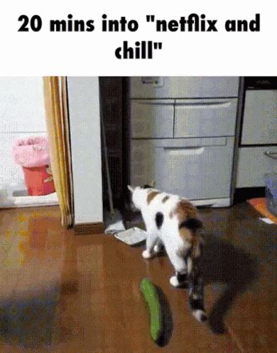 Netflix And Chill GIF - NetflixAndChill Cat Woah - Discover & Share GIFs