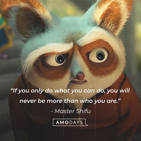 48 Master Shifu Quotes to Teach You Kung Fu Discipline