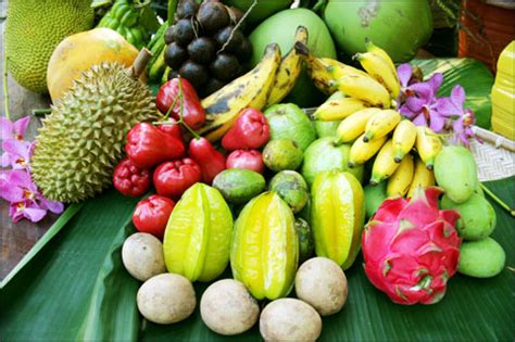 Fruits not to be missed when in Borneo | Wildlife Tours - Outback Venture Sdn Bhd