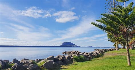 Tauranga, Bay of Plenty : r/newzealand