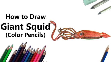 Comment dessiner un calmar géant avec des crayons de couleur [Time Lapse]