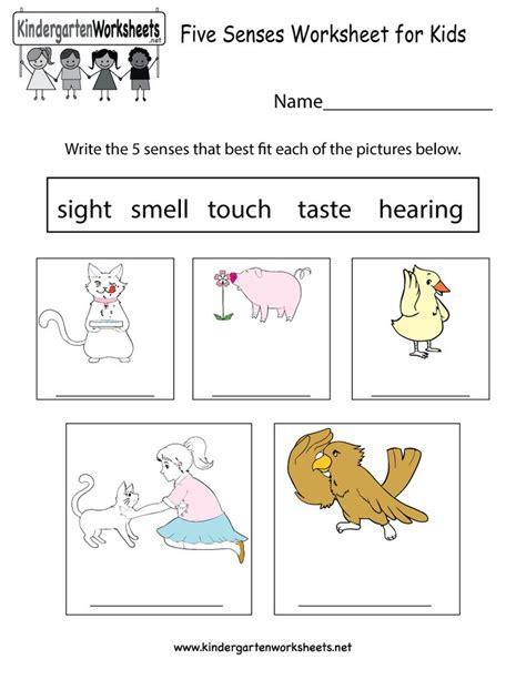 Science Worksheets For Kindergarten