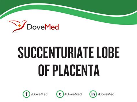 Succenturiate Lobe of Placenta