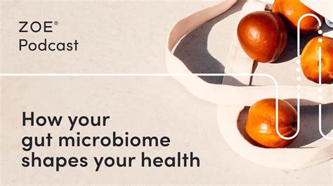 The Gut Microbiome: What Is It and Why Should You Care About Yours ...