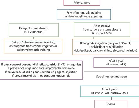 Low Anterior Resection Syndrome: A Treatment Algorithm : Diseases of the Colon & Rectum