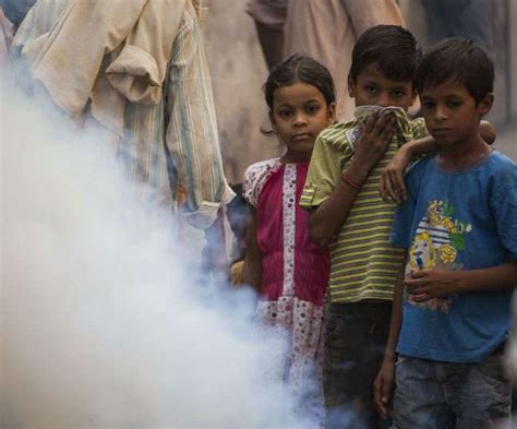 World Dengue Prevention Day: कैसे पहचानें आपको डेंगू है, जानें- लक्षण ...