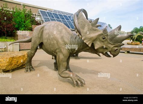 Dinosaur, Royal Tyrrell Museum, Drumheller, Alberta, Canada Stock Photo - Alamy