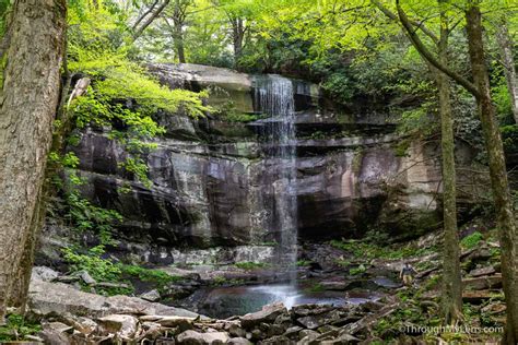 Rainbow Falls: The Tallest Waterfall in Great Smoky Mountains National Park - Through My Lens