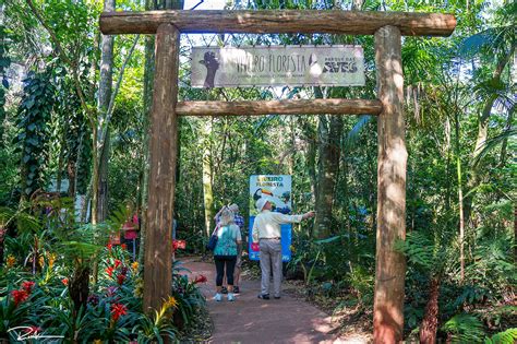 A Guide to the Mind-Blowing Iguazu Falls and What Else to Do in the ...