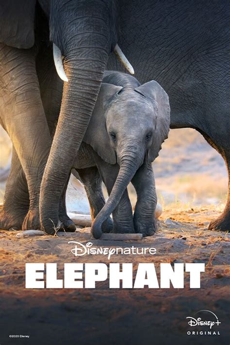 Disneynature | Official Website