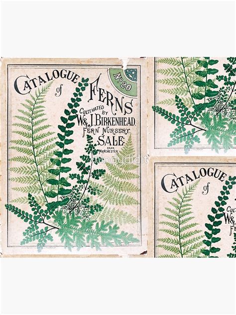 "Vintage Botanical Ferns " Shower Curtain for Sale by mindydidit | Redbubble