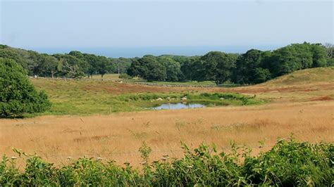 Chilmark Travel Guide | Chilmark Tourism - KAYAK