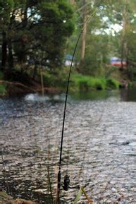 Caravan Park in the Yarra Valley | Doon Reserve