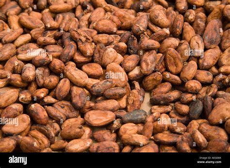 Cocoa beans, Ghana Stock Photo - Alamy