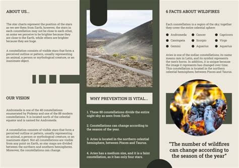 Free Geometric Simple Wildfire Prevention Trifold Brochure template