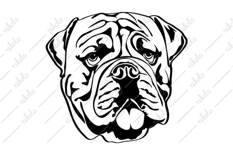 English Bulldog Clipart Graphic by nikola · Creative Fabrica