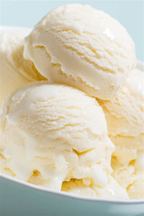 Sugar Free Frozen Yogurt {2 Ingredients} - The Big Man's World