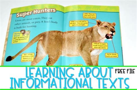 Teaching Informational Text Features: Lions