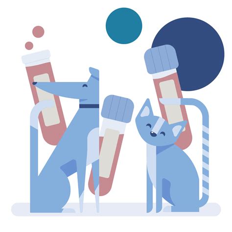 Demodex Gatoi - Lab Test – Joii Pet Shop