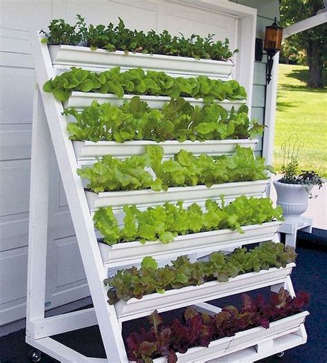 Tips For Indoor Vegetable Garden In 2023