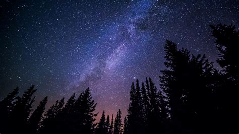무료 이미지 : 숲, 하늘, 은하수, 분위기, 별이 빛나는, 천문학, 한밤중, 천체 4240x2384 - - 915280 ...