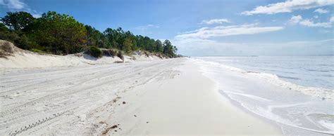 Fernandina Beach, FL Motels at the Best Price | cozycozy