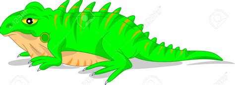 Green Iguana clipart, Download Green Iguana clipart for free 2019