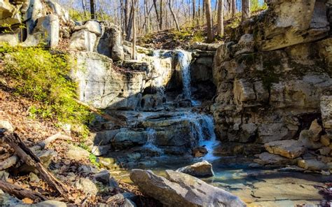 Wildflower Trail - Huntsville Adventurer