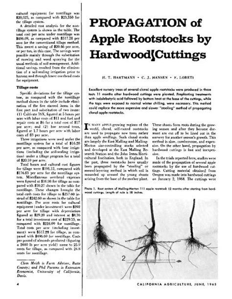 PROPAGATION of Apple Rootstocks by Hardwood Cuttings - UCCE ...