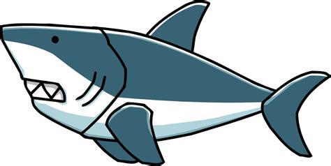 Shark PNG Transparent Images | PNG All