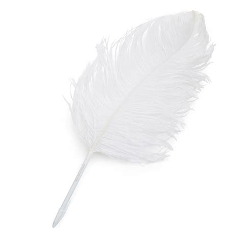 Free photo: White feather - Bird, Feather, Nature - Free Download - Jooinn