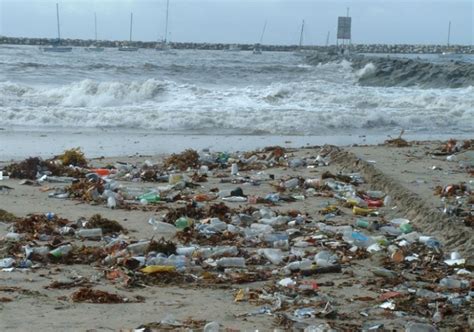 The Economic Benefits of Marine Debris Prevention and Removal | OR&R's Marine Debris Program