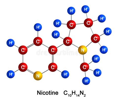 Nicotine Molecule Stock Illustrations – 185 Nicotine Molecule Stock Illustrations, Vectors ...