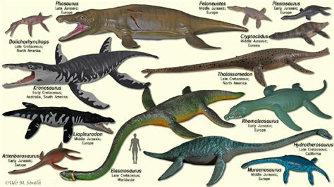 Prehistoric Water Animals Size Comparison Prehistoric Animals – NBKomputer