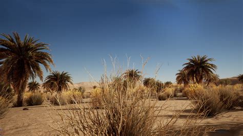 Desert Vegetation