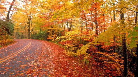 🔥 Free download Nature Fall Road hd wallpaper in Landscape [2120x1192] for your Desktop, Mobile ...