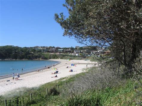 Fingal Bay Holiday Park - Fingal Bay Fingal Bay Beach