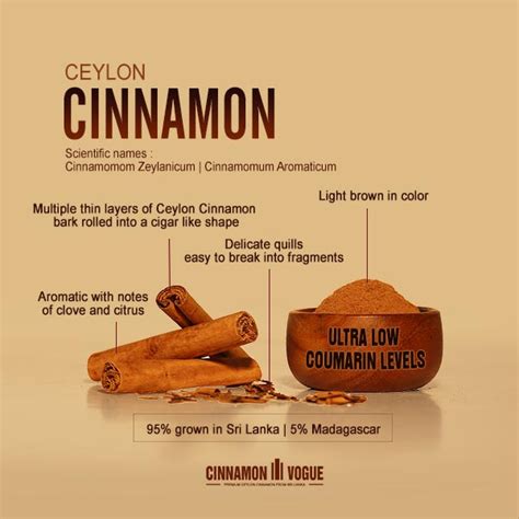 Ceylon Cinnamon | Cinnamon Vogue