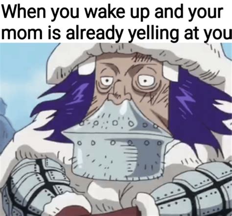 A good way to start off the day : r/MemePiece